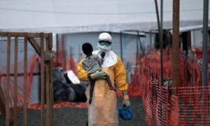 relatorio-one-year-ebola