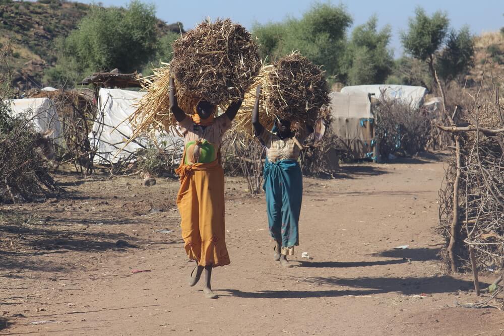 Darfur: o sonho de voltar para casa continua distante no acampamento de Sortoni