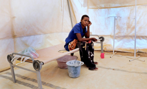 Zimbábue: respondendo à cólera em Harare