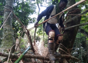 A ponte em lianas