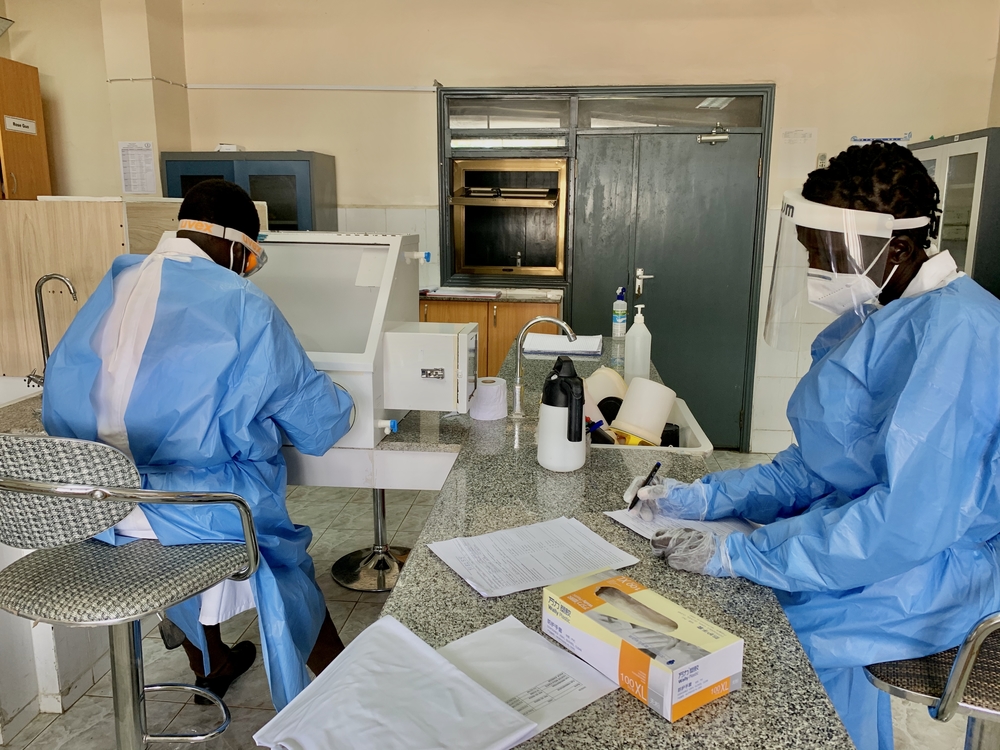 Sudão do Sul: jovens biotecnólogos desempenham papel importante na resposta à COVID-19