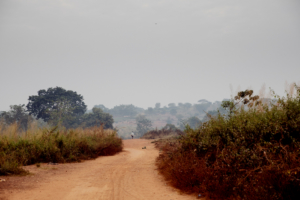 República Centro-Africana: MSF denuncia o assassinato de vários civis, incluindo um membro da organização