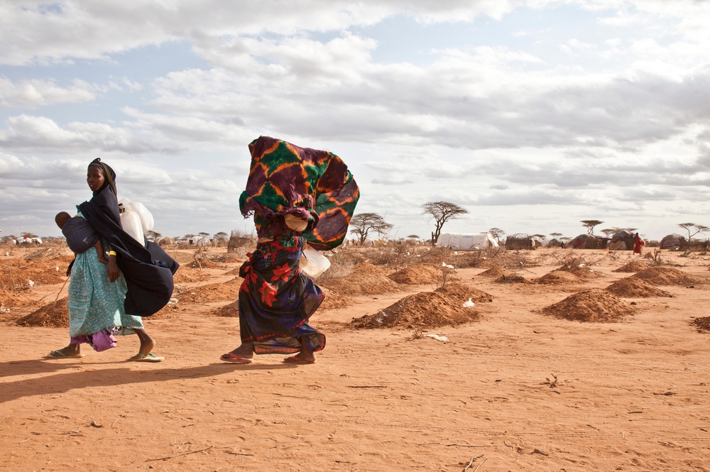 Saúde planetária: 3 contextos humanitários que podem ser agravados por mudanças climáticas e ambientais