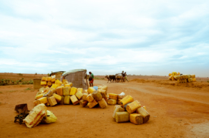 Resposta de emergência à crise de seca e desnutrição no sul de Madagascar