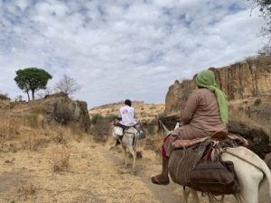 Sudão: Equipes médicas de MSF usam camelos e burros para chegar a vilarejos remotos e prestar assistência médica à população