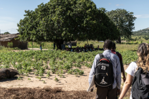 Cabo Delgado: Montepuez