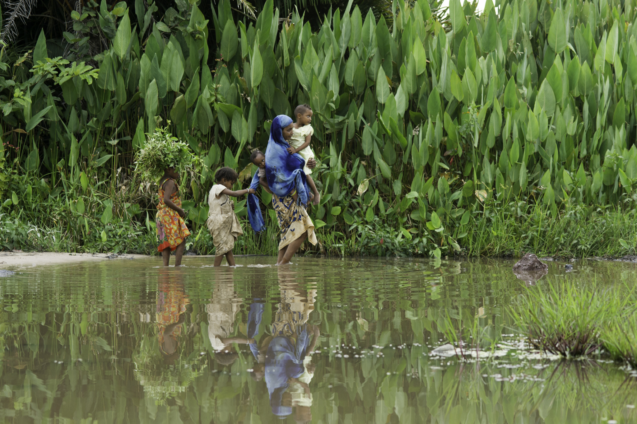 Pessoas a caminho da unidade de testes de MSF para doença do sono, na República Centro-Africana. A doença do sono, ou tripanossomíase humana Africana, é uma doença negligenciada fatal que acomete regiões da África. A doença é transmitida pela mosca tsé tsé, comum em áreas quentes e úmidas. Por 13 dias, uma equipe móvel de MSF especializada na doença examinou 4.548 pessoas e quatro receberam tratamento.