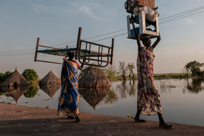 Floodland combina gerenciamento e sobrevivência em mundo alagado