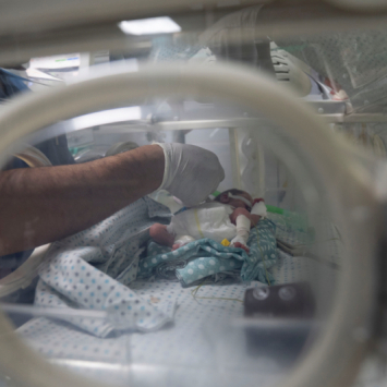 Profissional do Hospital Al-Helou, na Cidade de Gaza, examina um recém-nascido com baixo peso sob cuidados em uma incubadora. Abril de 2026. ©Nour Alsaqqa/MSF