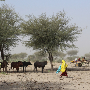 Foto: Claudia Blume/MSF