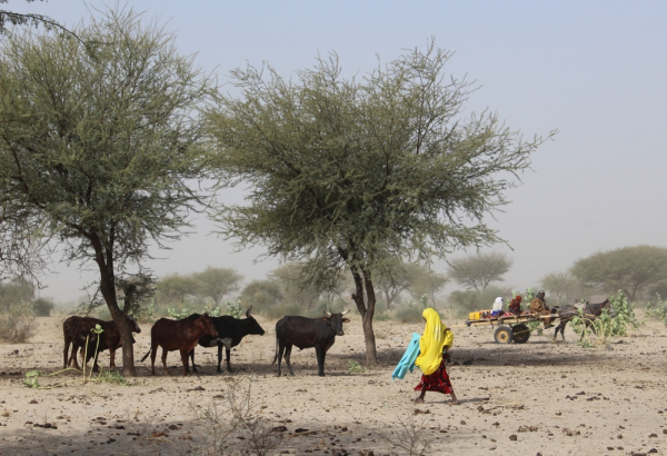 Foto: Claudia Blume/MSF
