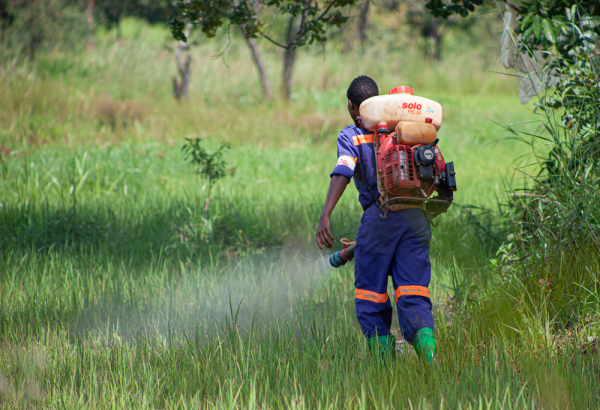 Foto: Cynthia D'Cruz/MSF