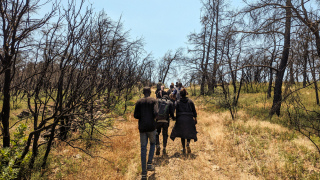 Grupo de pessoas recém-chegadas a Lesbos, na Grécia. © Evgenia Chorou/MSF