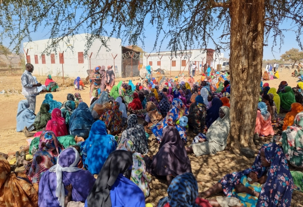 Pessoas deslocadas aguardam sob uma árvore para serem atendidas por profissionais de MSF no acampamento de Feina, no Sudão. Fevereiro de 2026. ©Julie Melichar
