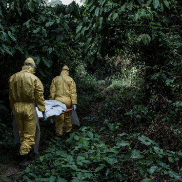 Febre de Lassa: o desafio para diagnóstico e tratamento