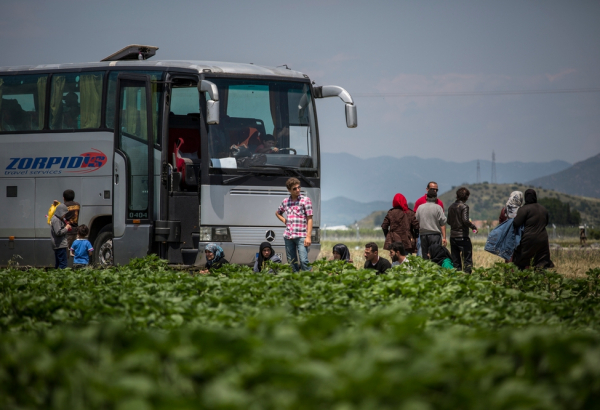 Refugiados são retirados de Idomeni sem saber para onde vão