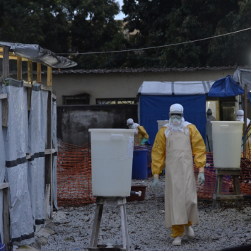 guine-msb13451_julien_rey