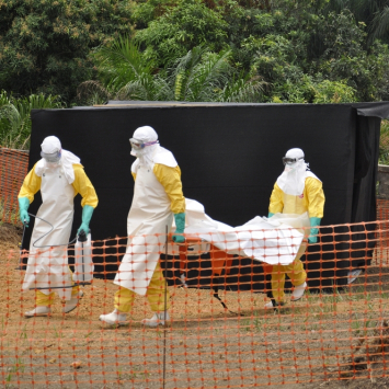 guine-msb7492-amandine_colin