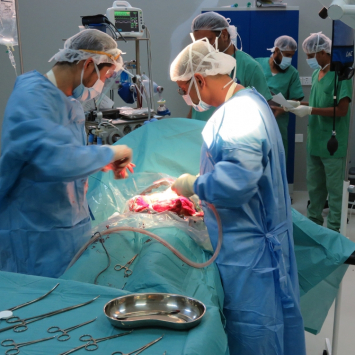 iemen-msf143971-malak-shaher