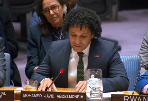 Javid Abdelmoneim, presidente internacional de Médicos Sem Fronteiras, discursa no Conselho de Segurança da ONU, em 12 de dezembro de 2025 ©MSF
