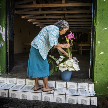 As indomáveis mulheres de Guerrero