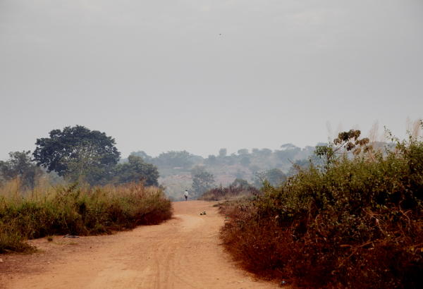 República Centro-Africana: MSF denuncia o assassinato de vários civis, incluindo um membro da organização