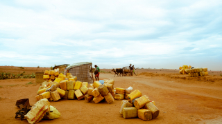 Resposta de emergência à crise de seca e desnutrição no sul de Madagascar