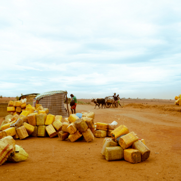 Resposta de emergência à crise de seca e desnutrição no sul de Madagascar