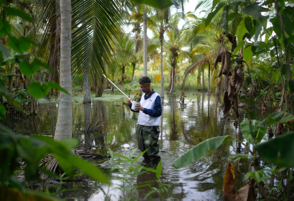 Venezuela: controlando os mosquitos para prevenir a malária