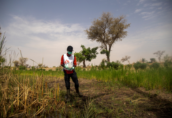 Combatendo a malária por meio do tratamento de água em comunidades no Níger