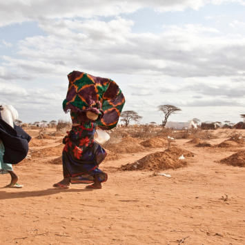 Saúde planetária: 3 contextos humanitários que podem ser agravados por mudanças climáticas e ambientais