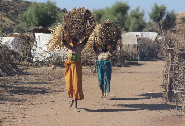 Darfur: o sonho de voltar para casa continua distante no acampamento de Sortoni