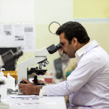 Por que as bactérias adoram feridas de guerra?