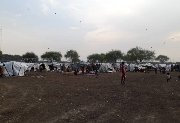 Milhares fogem para a mata enquanto o conflito se intensifica