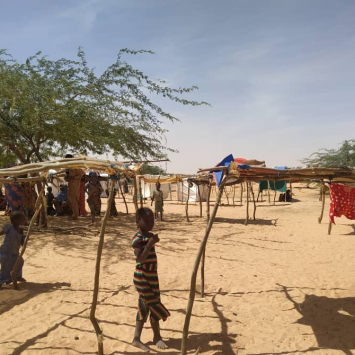 Refugiados que escaparam da violência no Níger permanecem vulneráveis no Mali