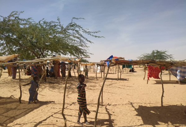 Refugiados que escaparam da violência no Níger permanecem vulneráveis no Mali