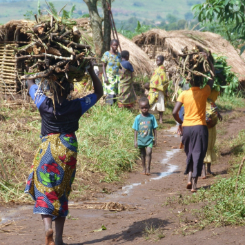 rdc-msb1394-louise_annaud