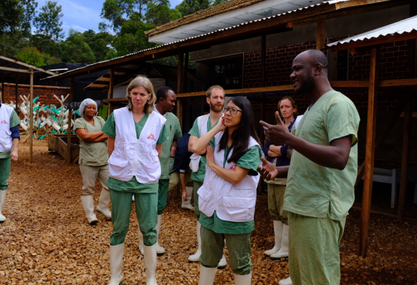 Médicos Sem Fronteiras alerta para gravidade da epidemia de Ebola