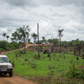 serraleoa-msb10583_joffreymonnier