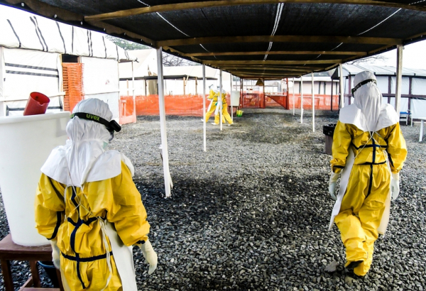 serraleoa-msf142217-fabiobasone